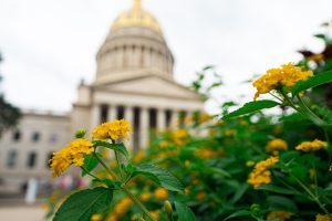Farming, gun and baby-changing bills pass out of House of Delegates